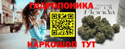 гидра Лесосибирск