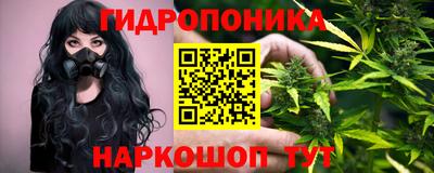 гидра Лесосибирск