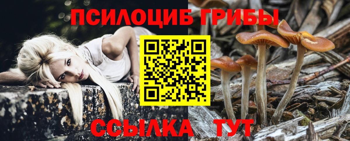 Галлюциногенные грибы ЛСД Вязьма