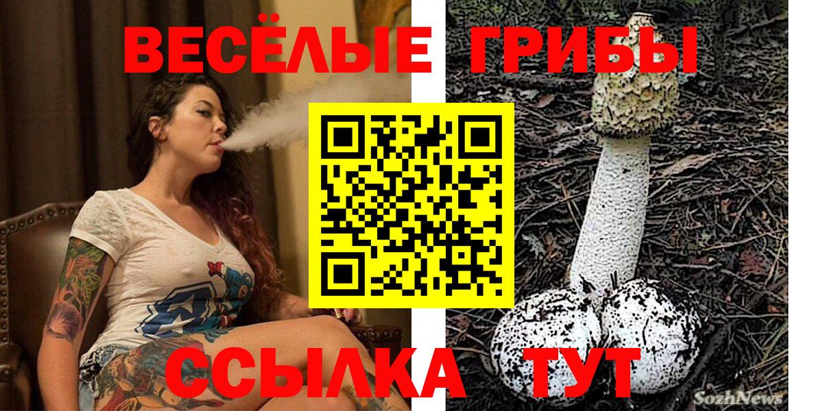 Галлюциногенные грибы Psilocybe  Вход с VPN  Вязьма 